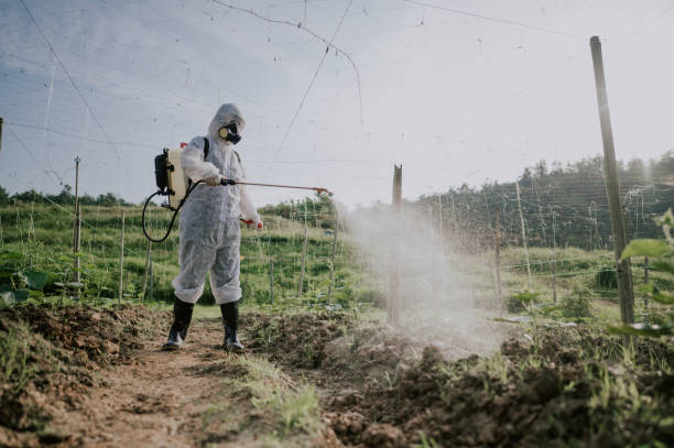 Best Best Pest Control Companies  in South Corning, NY