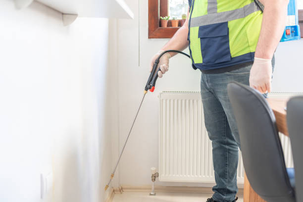 Best Rat Extermination Near Me  in South Corning, NY