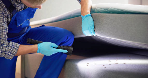 Best Cockroach Control Services  in South Corning, NY