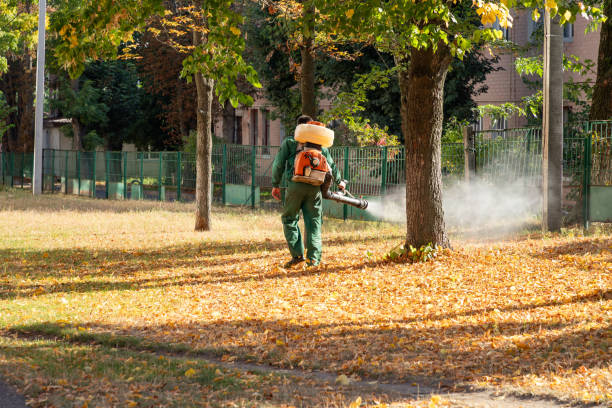 Best Pest Control Near Me  in South Corning, NY