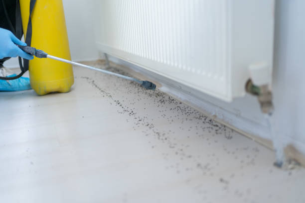  South Corning, NY Pest Control Pros