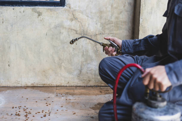 Pest Control Cost in South Corning, NY